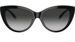 Tiffany TF4196 80013C Black