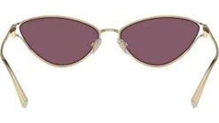 Tiffany TF3095 6194AK Pale Gold 10 Tiffany TF3095 6194AK Pale Gold -Luxe Eyewear Outlet 04f502e0980669fe3f02489944c9a802