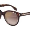 Alexander McQueen AM0024S 002 Havana -Luxe Eyewear Outlet 0fc79baac8265ee9fcf0c632b1716713