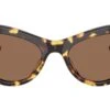 Oliver Peoples 1951C OV5573SU 140773 Vintage Dtb -Luxe Eyewear Outlet 1af3d6a74bff224eab3844925248513b