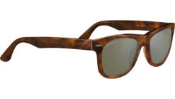 Serengeti Foyt Large SS550 001 Brown -Luxe Eyewear Outlet 2042ff728121fa8797eddaf0db7d3902