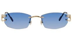 Cartier CT0344O Shiny Gold Custom Lens Gradient