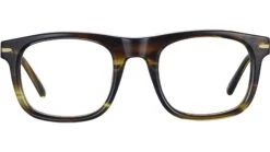 Serengeti Nelson Optic SV591 Tortoise