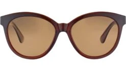 Serengeti Endee SS573 002 Brown