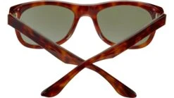 Serengeti Foyt Large SS550 001 Brown -Luxe Eyewear Outlet 3a7aae3d9b0d6aac706d3e8d995ee699