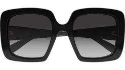 Alexander McQueen AM0378S 001