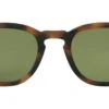 Kinney II Sun Spotted Brown Shell -Luxe Eyewear Outlet 50df4bfd5dfe4d2717efc76e26ddb7ce