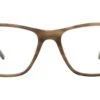 Hayes Malibu Tortoise 1 Hayes Malibu Tortoise -Luxe Eyewear Outlet 53f4f25d74fffdaf8c591d689cbb6954