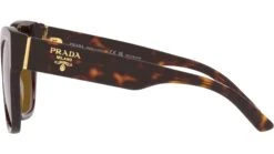 Prada PR 17ZS Tortoise 7 Prada PR 17ZS Tortoise -Luxe Eyewear Outlet 5daabbe8f2e266897094346845fbe0fe