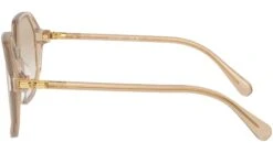 Swarovski SK6003 103411 Light Brown -Luxe Eyewear Outlet 5e3ab713af40159f8b867a8eb2977bed
