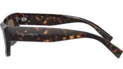 Dolce & Gabbana DG 4462 502/73 Havana Brown -Luxe Eyewear Outlet 5f04a453ee4a9bb33faf0282bbad9baa