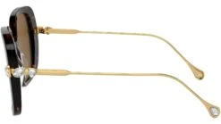 Swarovski SK6011 100283 Havana -Luxe Eyewear Outlet 5f18c21af16f8ec21ab127f4e5fa02bd