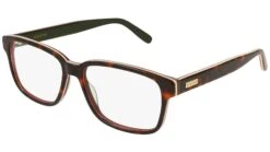 Gucci GG0272O 006 Multicolor Tortoise