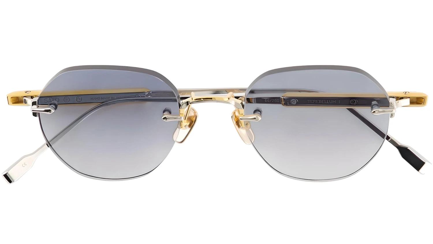 Terebellum I S603 3 Terebellum I S603