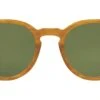 Morningside X Sun Butterscotch -Luxe Eyewear Outlet 682f876193b04d395c700e8116539060