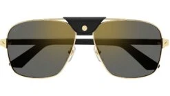 Cartier Santos CT0389S 003 Gold Grey 5 Cartier Santos CT0389S 003 Gold Grey -Luxe Eyewear Outlet 6bd351b7931d287a58efa15c277868e5