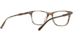 Hayes Malibu Tortoise -Luxe Eyewear Outlet 76065154dc38ec3ad782f8c5802ac5e2