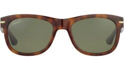 Serengeti Foyt Large SS550 001 Brown