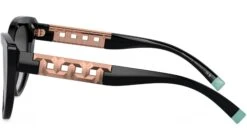 Tiffany TF4196 80013C Black -Luxe Eyewear Outlet 7f251ae5ccf9a6b183a84aa8bf0176c8