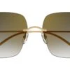 Cartier CT0508S 001 2 Cartier CT0508S 001 -Luxe Eyewear Outlet 901d218c40773f4c777bfe74464d8850