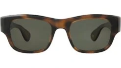 Shasta Sun Spotted Brown Shell