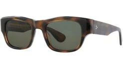 Shasta Sun Spotted Brown Shell -Luxe Eyewear Outlet a6c583a1c6d44280cbd3f884a83a7604