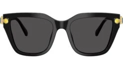 Swarovski SK6041 100187