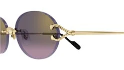 Cartier CT0551S 004 7 Cartier CT0551S 004 -Luxe Eyewear Outlet bb55e8188d5c55471cd729ff22993c97