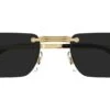 Cartier CT0499S 001 -Luxe Eyewear Outlet bbcffc65cb3a1ec701c517d76d3f7141