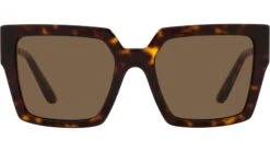 Dolce & Gabbana DG 4446B 502/73 Tortoise Brown