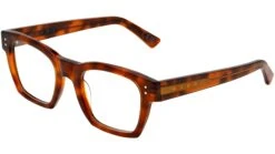 Marni Abiod Blonde Havana -Luxe Eyewear Outlet c0136bc91e5489b71c6c0554164c3761