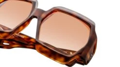 Grandfunk Teddy Brown 11 Grandfunk Teddy Brown -Luxe Eyewear Outlet cdf8ce3a0848bd1267169d769c3afb03