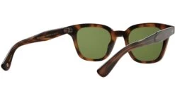 Broadway Sun Spotted Brown Shell -Luxe Eyewear Outlet d6ce866e08dfda6dde21458c13b11d7b