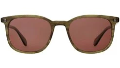 Bentley Sun Olive Tortoise