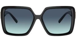 Tiffany TF4206U 80019S Black