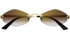 Cartier CT0433S 002 Gold Brown