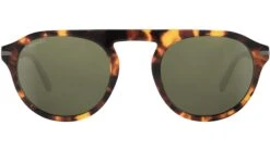 Serengeti Arthur SS744 Tortoise