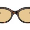 Swarovski SK6002 1002/8 Dark Havana -Luxe Eyewear Outlet f4a8391f36dc41d42bbdb15917875f65