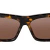 Palm Angels Hollywood Havana Brown -Luxe Eyewear Outlet f5f746f3c07abead00b64d55e6007003