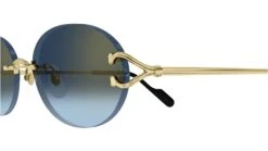 Cartier CT0551S 002 -Luxe Eyewear Outlet f6cc12e214b3ce1bb52379caffeaed96