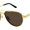 Cartier CT0425S 003 Gold Brown 2 Cartier CT0425S 003 Gold Brown -Luxe Eyewear Outlet ff3efded084cb32ec141e7bd6bc3f6fa